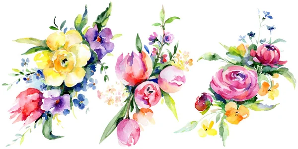 Bouquets flores botânicas florais. Conjunto de ilustração de fundo aquarela. Isolado buquê elemento ilustração . — Fotografia de Stock