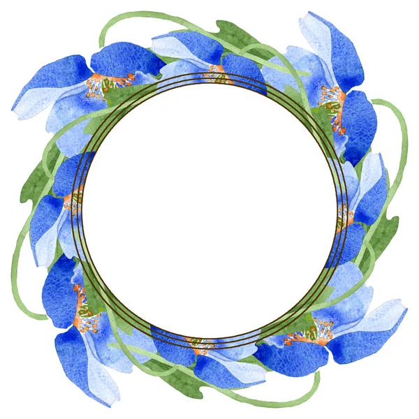 Fiori botanici floreali di papavero blu. Acquerello sfondo illustrazione set. Quadrato ornamento bordo cornice . — Foto Stock