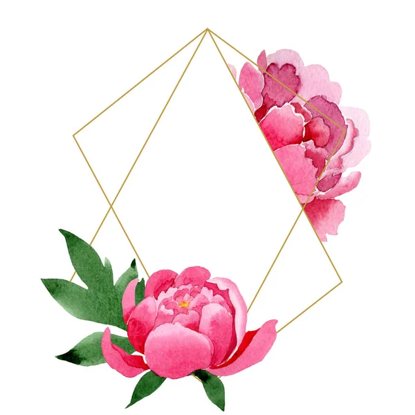 Pembe peony çiçek botanik çiçekler. Suluboya arka plan illüstrasyon küme. Çerçeve kenarlığı süsleme Meydanı.