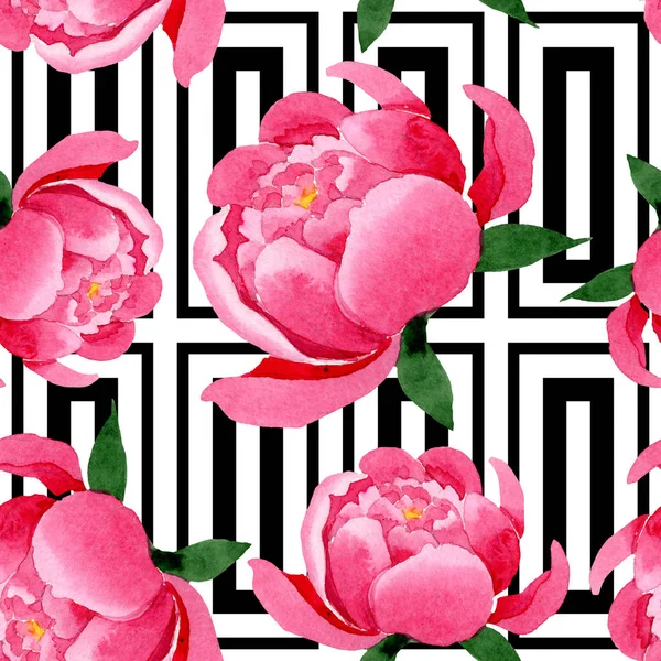 Flores botánicas florales de peonía rosa. Conjunto de ilustración de fondo acuarela. Patrón de fondo sin costuras . —  Fotos de Stock