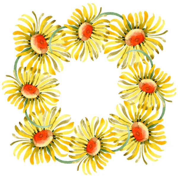 Sárga Margaréta virág botanikai virágok. Akvarell háttér illusztráció készlet. Test határ Dísz tér. — Stock Fotó