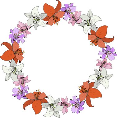 Vektör Lily botanik çiçek. Vahşi bahar yaprak izole kır çiçeği. Oyulmuş mürekkep sanat. Çerçeve kenarlığı süsleme Meydanı.