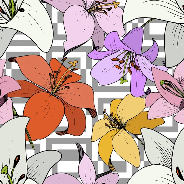 Vector Lily Floral flor botánica. Tinta grabada en blanco y negro. Patrón de fondo sin costuras . — Vector de stock