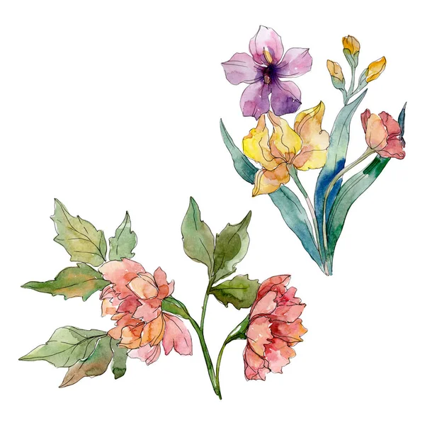 Wildflower boeket bloemen botanische bloemen. Aquarel achtergrond instellen. Geïsoleerde wildflowers afbeelding element. — Stockfoto