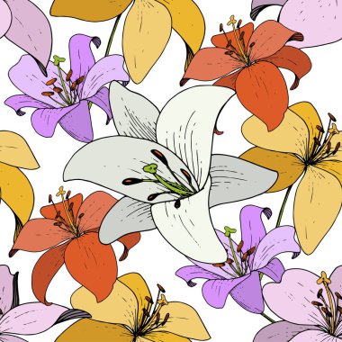 Vektör Lily Floral botanik çiçek. Siyah ve beyaz mürekkep sanat kazınmış. Sorunsuz arka plan deseni.