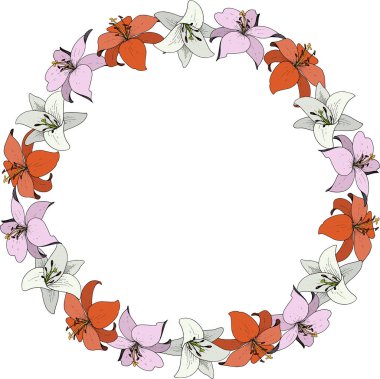 Vektör Lily botanik çiçek. Vahşi bahar yaprak izole kır çiçeği. Oyulmuş mürekkep sanat. Çerçeve kenarlığı süsleme Meydanı.