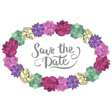 Vektör Succulents botanik çiçek. Beyaz arka plan üzerinde oyulmuş mürekkep sanat. Çerçeve kenarlığı süsleme Meydanı.