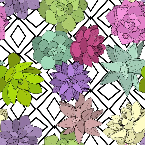 Vector Suculentas flor botánica floral. Arte de tinta grabada. Patrón de fondo sin costuras . — Vector de stock