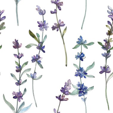 Mor Lavander çiçek botanik çiçek. Vahşi bahar yaprağı yaban çiçeği. Suluboya illüstrasyon seti. Suluboya çizim moda Aquarelle. Kesintisiz arka plan deseni. Kumaş duvar kağıdı baskı doku.