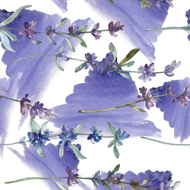 Mor lavanta botanik çiçek. Vahşi bahar yaprak kır çiçeği. Suluboya resim kümesi. Suluboya çizim moda aquarelle. Sorunsuz arka plan deseni. Kumaş duvar kağıdı yazdırma doku.