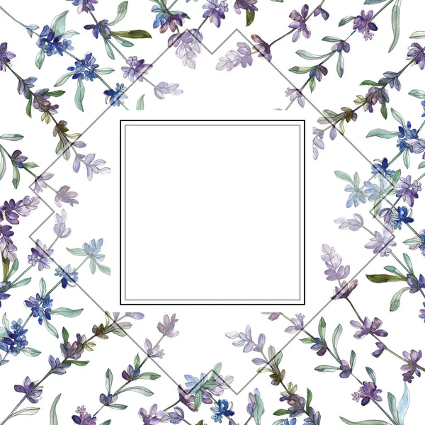 Flor Botánica Floral Lavanda Púrpura Flor Silvestre Hoja Primavera Aislada — Foto de Stock