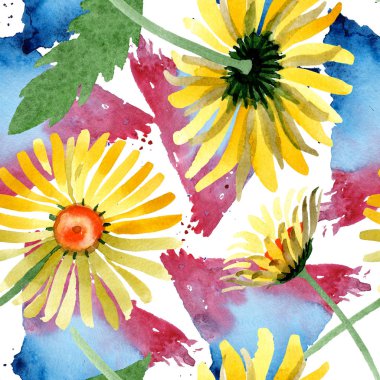 Sarı papatya botanik çiçek. Vahşi bahar yaprak kır çiçeği. Suluboya resim kümesi. Suluboya çizim moda aquarelle izole. Sorunsuz arka plan deseni. Kumaş duvar kağıdı yazdırma doku.