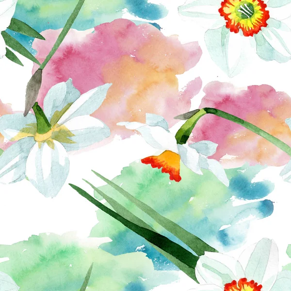 White Narcissus Botanical Flower Wild Spring Leaf Wildflower Isolated Watercolor — Stock Photo, Image