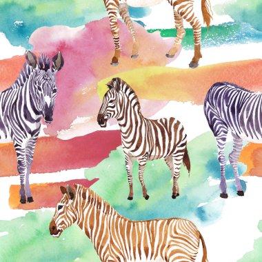 Egzotik zebra vahşi hayvan suluboya tarzında. Vahşi hayvan arka plan illüstrasyon için ayarlayın. Suluboya çizim moda aquarelle. Sorunsuz arka plan deseni. Kumaş duvar kağıdı yazdırma doku.
