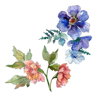 Kır çiçeği buket çiçek botanik çiçekler. Vahşi bahar yaprak kır çiçeği. Suluboya arka plan illüstrasyon küme. Suluboya çizim moda aquarelle. İzole kır çiçekleri illüstrasyon öğesi.
