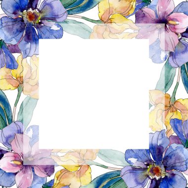 Kır çiçeği buket çiçek botanik çiçekler. Vahşi bahar yaprak kır çiçeği. Suluboya arka plan illüstrasyon küme. Suluboya çizim moda aquarelle izole. Çerçeve kenarlığı kristal süsleme Meydanı.