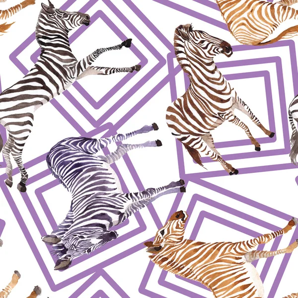 Egzotik zebra vahşi hayvan suluboya tarzında. Vahşi hayvan arka plan illüstrasyon için ayarlayın. Suluboya çizim moda aquarelle. Sorunsuz arka plan deseni. Kumaş duvar kağıdı yazdırma doku.