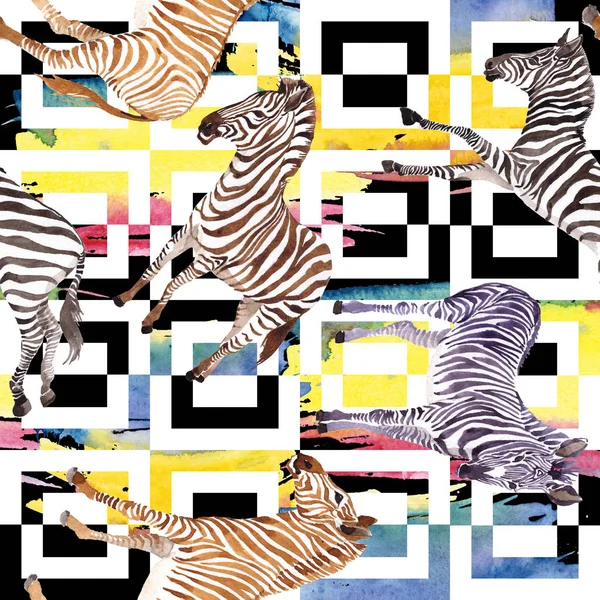 Exotic Zebra Wild Animal Watercolor Style Wild Animal Background Illustration — Stock Photo, Image