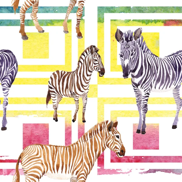 Exotiska Zebra Vilda Djur Akvarell Stil Vilda Djur För Bakgrund — Stockfoto