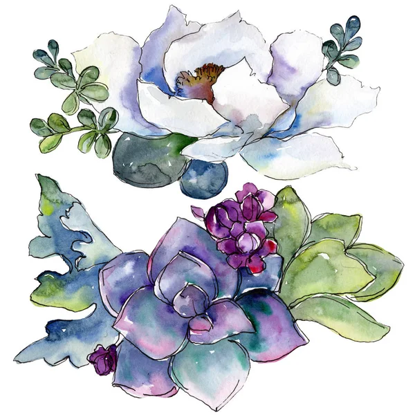 Bukiety Kwiatowe Kwiaty Botanicznych Wiosna Dzikiego Wildflower Liść Białym Tle — Zdjęcie stockowe