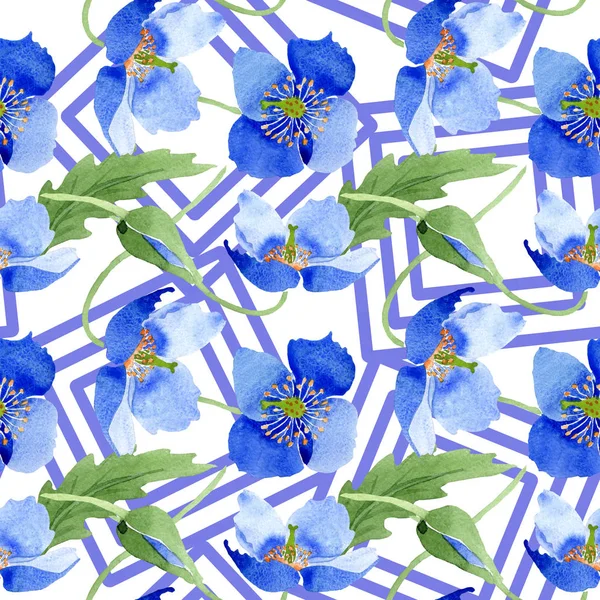 Fiori Botanici Papavero Blu Fiore Selvatico Primaverile Isolato Set Illustrazione — Foto Stock