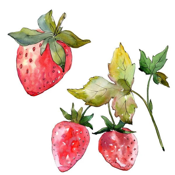 分離されたイチゴの健康食品 水彩画背景イラスト セット 水彩描画のファッション Aquarelle 分離します 孤立した果実の図要素 — ストック写真