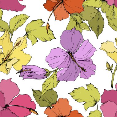 Vektör Hibiscus çiçek botanik çiçek. Egzotik tropik hawaiian yaz. Beyaz arka plan üzerinde oyulmuş mürekkep sanat. Sorunsuz arka plan deseni. Kumaş duvar kağıdı yazdırma doku.