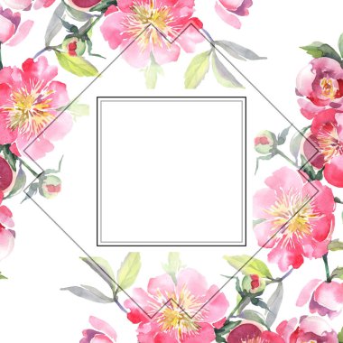 Pembe şakayık buket çiçek botanik çiçekler. Vahşi bahar yaprağı yaban çiçeği izole. Suluboya arka plan illüstrasyon seti. Suluboya çizim moda Aquarelle izole. Çerçeve kenarlık süsleme kare.