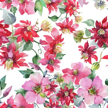 Clematis çiçek botanik çiçekleri buket. Vahşi bahar yaprağı yaban çiçeği. Suluboya illüstrasyon seti. Suluboya çizim moda Aquarelle. Kesintisiz arka plan deseni. Kumaş duvar kağıdı baskı doku.