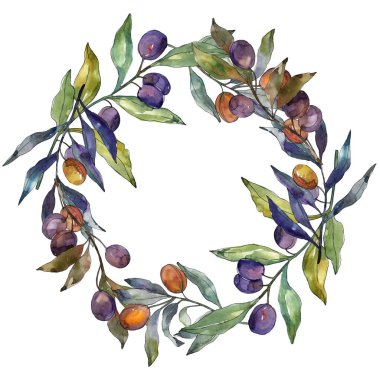 Siyah ve yeşil MEYVELERLE zeytin dalı. Suluboya arka plan illüstrasyon seti. Suluboya çizim moda Aquarelle izole. Çerçeve kenarlık süsleme kare.