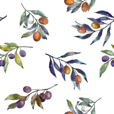 Siyah ve yeşil MEYVELERLE zeytin dalı. Suluboya arka plan illüstrasyon seti. Suluboya çizim moda Aquarelle izole. Kesintisiz arka plan deseni. Kumaş duvar kağıdı baskı doku.