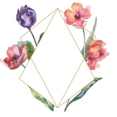 Kırmızı ve mor Lale Çiçek Botanik akıları. Vahşi bahar yaprağı yaban çiçeği izole. Suluboya arka plan illüstrasyon seti. Suluboya çizim moda Aquarelle. Çerçeve kenarlık süsleme kare.