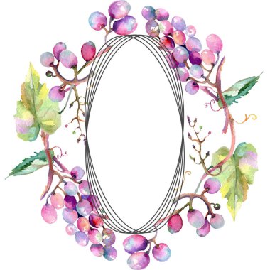 Üzüm meyve sağlıklı gıda. Suluboya arka plan illüstrasyon seti. Çerçeve kenarlık süsleme kare.