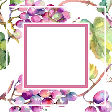 Üzüm meyve sağlıklı gıda. Suluboya arka plan illüstrasyon seti. Çerçeve kenarlık süsleme kare.