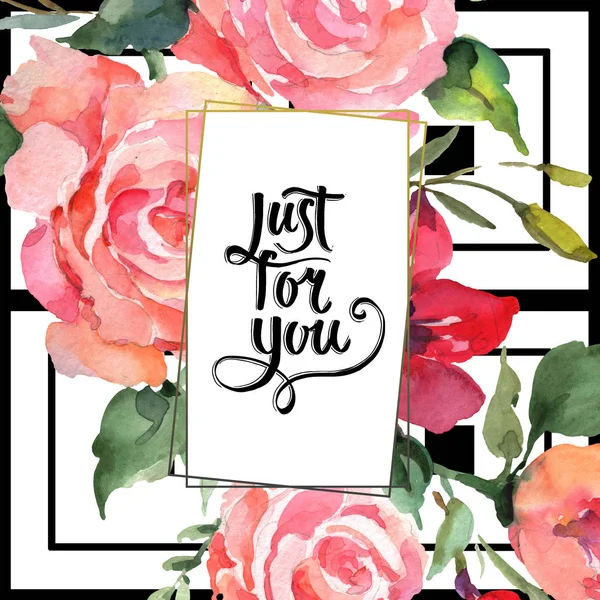 Розовый Букет Розы Цветочные Ботанические Цветы Дикий Весенний Цветок Изолирован — стоковое фото