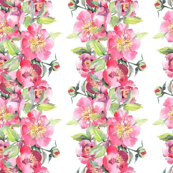 Fiori Botanici Bouquet Peonia Rosa Fiordaliso Selvatico Set Illustrazione Acquerello — Foto Stock