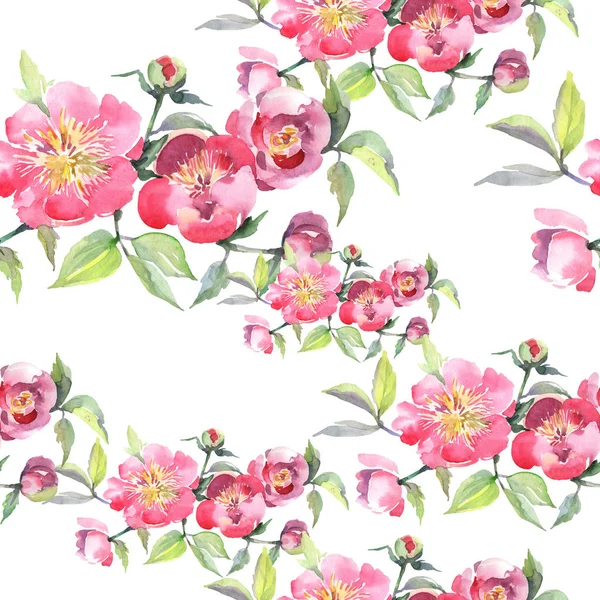 Rosa Pfingstrose Strauß Botanische Blumen Wilde Frühlingsblume Aquarell Illustrationsset Vorhanden — Stockfoto