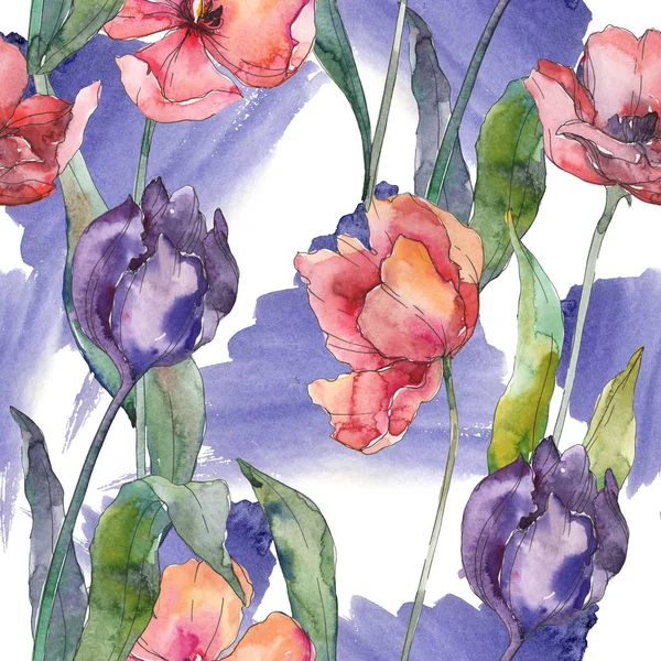 Červeného Purpurového Tulipána Botanická Pole Divoké Květinové Listy Akvarel Obrázku — Stock fotografie