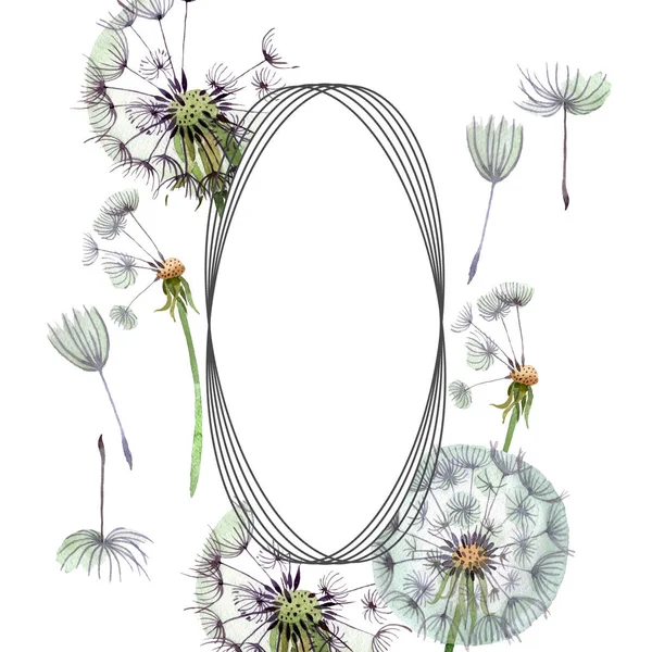 Dandelion blowball with seeds. Watercolor background illustration set. Watercolour drawing fashion aquarelle isolated. Frame border ornament square.