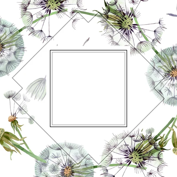 Dandelion Blowball Seeds Watercolor Background Illustration Set Watercolour Drawing Fashion — Stock Photo, Image