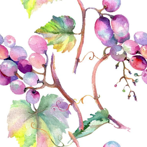 Winogrona jagód zdrowej żywności. Zestaw ilustracji akwarela. Wzór tła bez szwu. Tkanina tapeta druk tekstura. — Zdjęcie stockowe