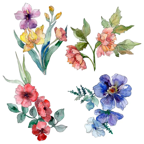 Mazzo di fiori selvatici fiori botanici floreali. Set sfondo acquerello. Elemento di illustrazione di fiori selvatici isolati . — Foto Stock