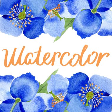 Mavi Haşhaş çiçek botanik çiçekler. Vahşi bahar yaprak izole kır çiçeği. Suluboya arka plan illüstrasyon küme. Suluboya çizim moda aquarelle. Çerçeve kenarlığı süsleme Meydanı.
