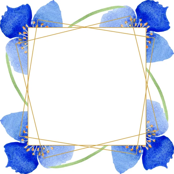 Синий Мак Цветочные Ботанические Цветы Дикий Весенний Цветок Изолирован Набор — стоковое фото
