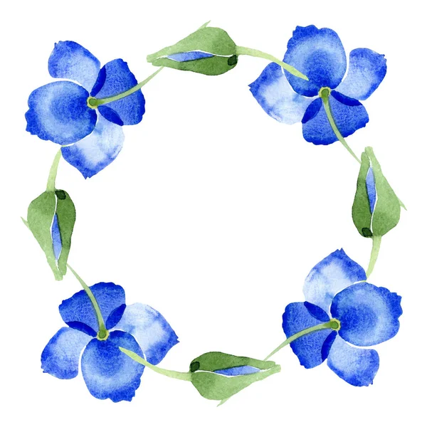 青いケシの花植物花 野生春葉のワイルドフラワーが分離されました 水彩画背景イラスト セット 水彩描画ファッション Aquarelle フレーム枠飾りスクエア — ストック写真
