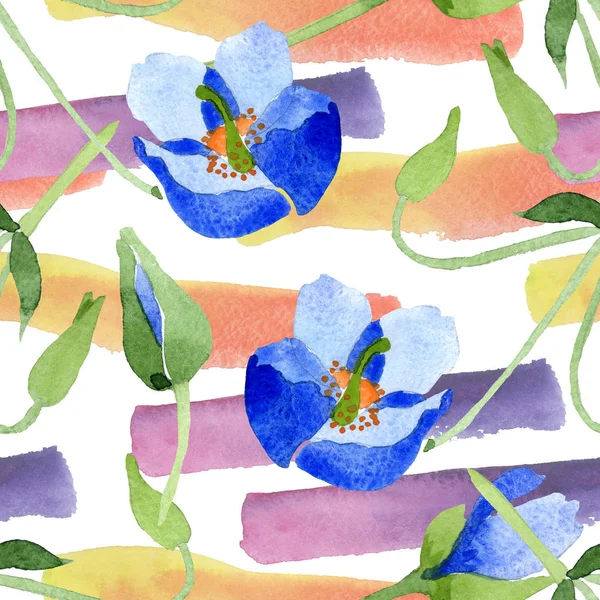 Blå Vallmo Botaniska Blommor Vilda Våren Leaf Wildflower Isolerade Akvarell — Stockfoto
