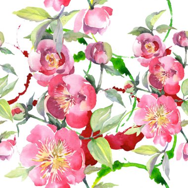 Pembe şakayık buket çiçek botanik çiçekler. Suluboya arka plan illüstrasyon seti. Kesintisiz arka plan deseni.