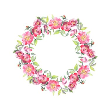 Pembe şakayık buket çiçek botanik çiçekler. Suluboya arka plan illüstrasyon seti. Çerçeve kenarlık süsleme kare.