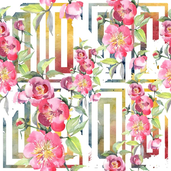 Ramo de peonía rosa flores botánicas florales. Conjunto de ilustración de fondo acuarela. Patrón de fondo sin costuras . —  Fotos de Stock