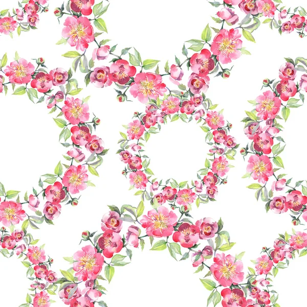 Ramo de peonía rosa flores botánicas florales. Conjunto de ilustración de fondo acuarela. Patrón de fondo sin costuras . — Foto de Stock